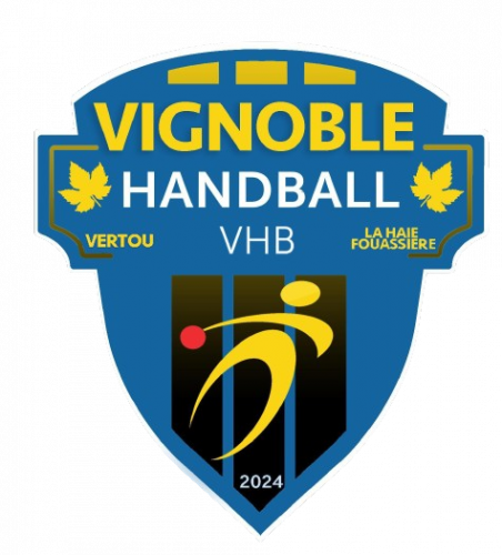 Logo VIGNOBLE HANDBALL